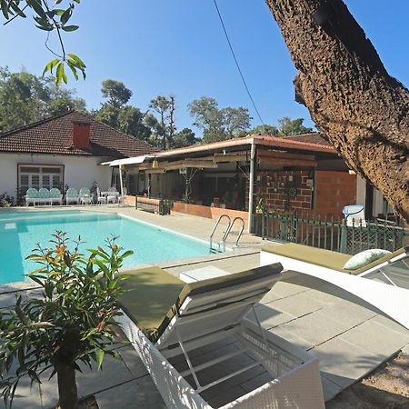 Devi Villa - Plantation Retreat And Forest Getaway Kutta Bagian luar foto